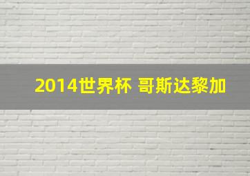 2014世界杯 哥斯达黎加